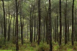 image for 