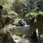 image for In Bosnia and Hercegovina today