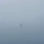image for Lady Liberty Lost in the fog (OC)