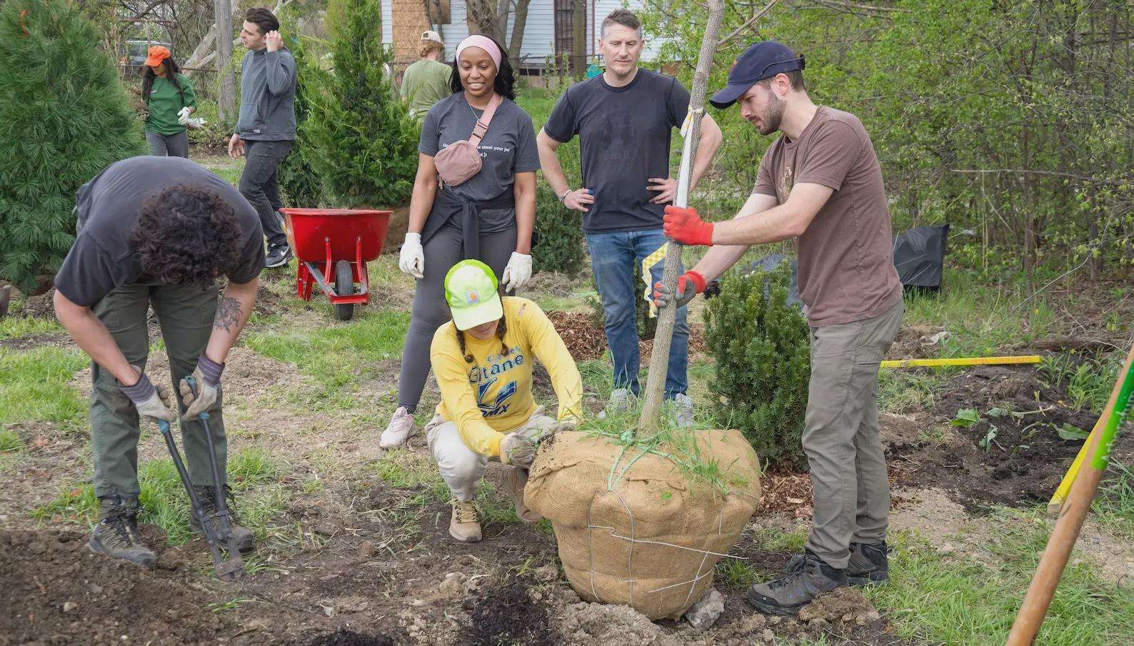 image for Urban trees aren’t just nice, scientists say — they’re mandatory