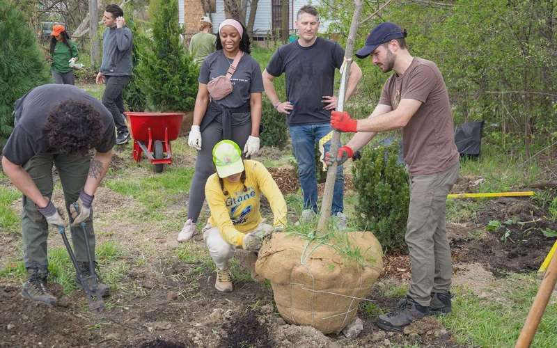 image for Urban trees aren’t just nice, scientists say — they’re mandatory