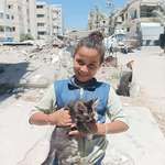 image for Young Girl holding her first kitten today in Gaza