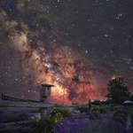 image for Lavender at night