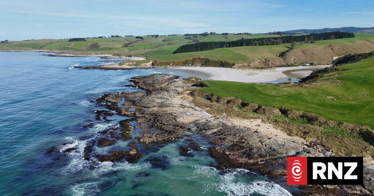 image for New Te Au Roa o Te Rakihouia marine reserves coming into force in Otago