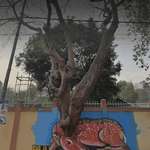 image for This street art in india goes hard.