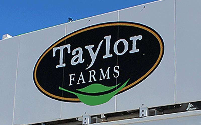image for Taylor Farms recalls lettuce in 27 states amid cyclosporiasis outbreak: What to know