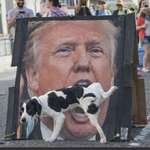 image for Street art I saw today