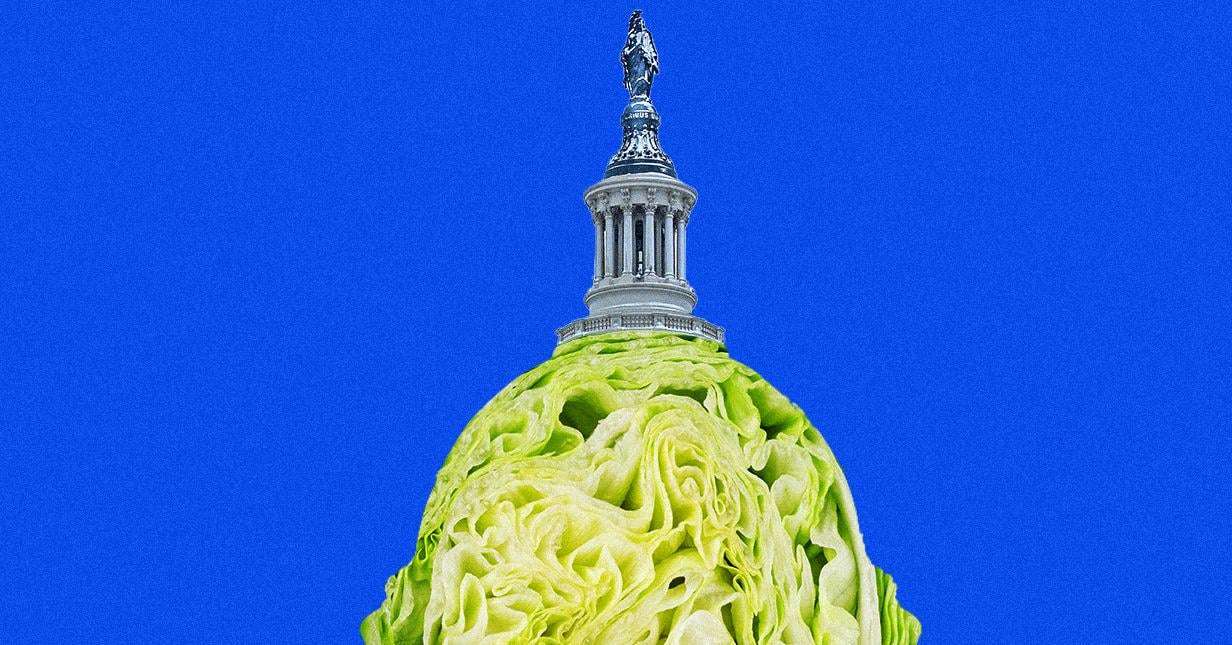 image for Taylor Farms Spent Big on MAGA and Anti-Regulatory Lobbying Before Diarrhea Outbreak