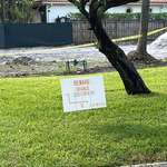 image for Spotted in Palm Beach