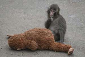 image for 