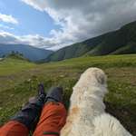 image for Just me and a random dog enjoying the Kazbegi region